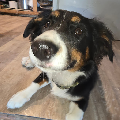 Mandy Brellahan (Maiden Name LOMAX)