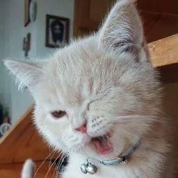 Aleks Schmidt (AleksHQ)