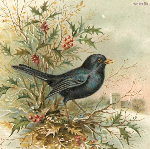 Sandra “Amethyst Garnet” Lloyd