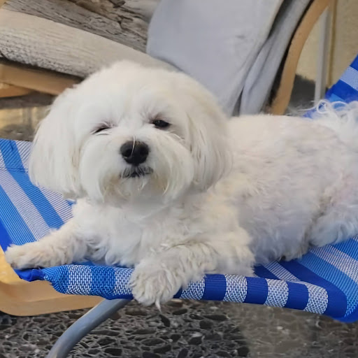 Ömer Özgür Çetinoğlu