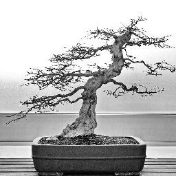DeadBonsai V