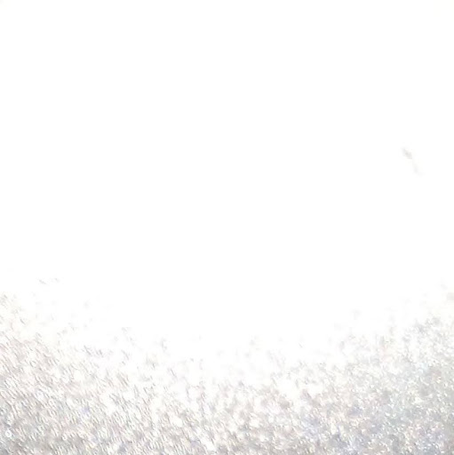 Pedro Fernando Arizpe Gomez