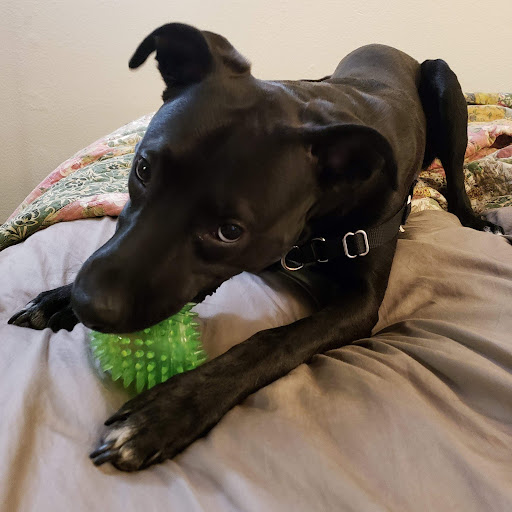 Conald Frostig-Miller