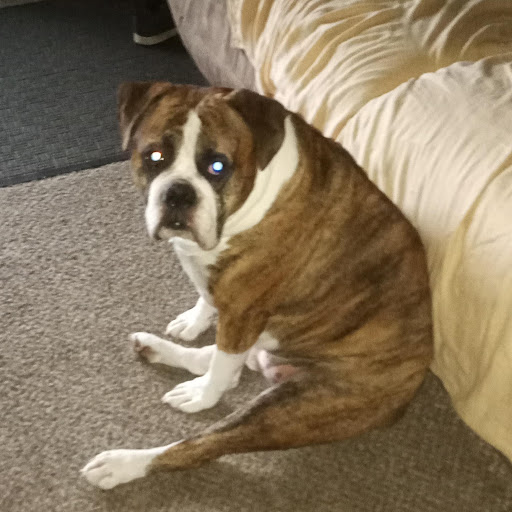 Johnny Funnel (SForces)