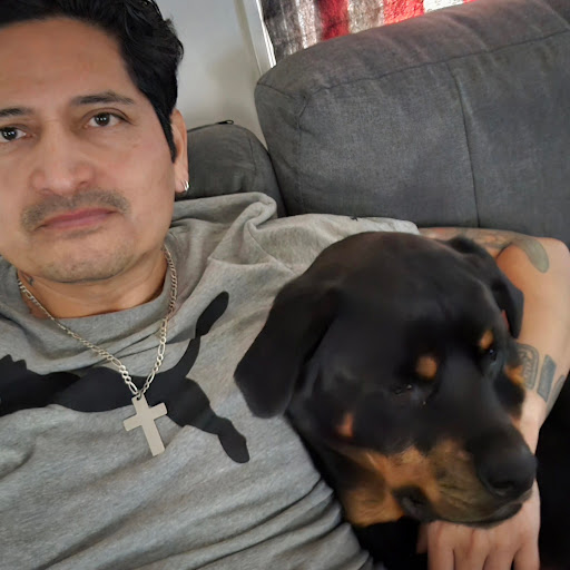 Eddy-Ready Steady-Go