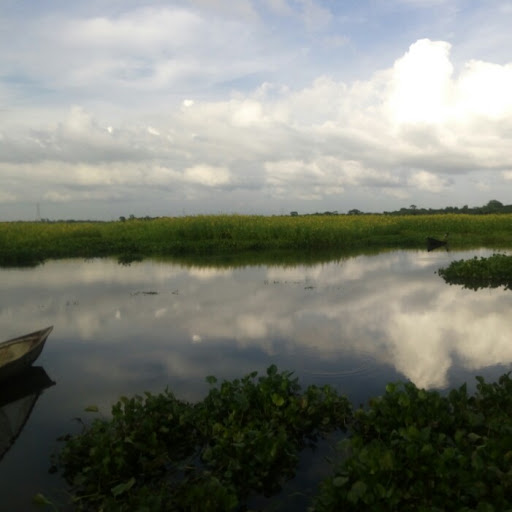 Si Tuhin