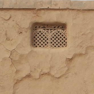 ALI Shan