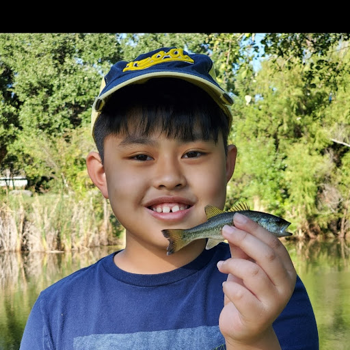 something something YLt