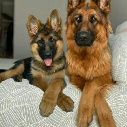 Kinfia, Mark Kinneth P.