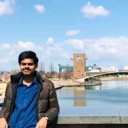 Ram Satya Rao Medisetti