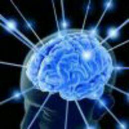 Happy “Cereblue” Pottery