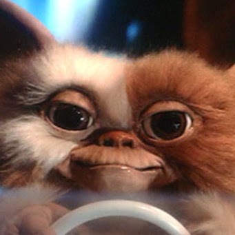 Gizmo Mogwai
