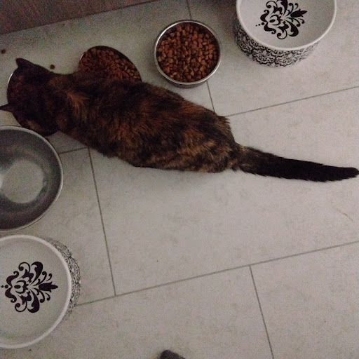 Goonies Never Say Die