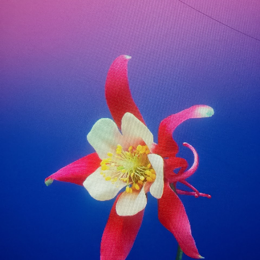 Meseret Tefera Messi