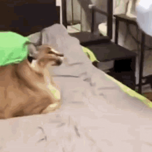 Chance Larremore (Hollow_Dungeon7)