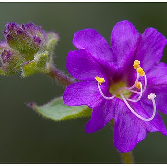 Thùy Dung Nguyễn Thị