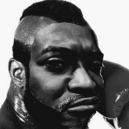 DUBBER LANG