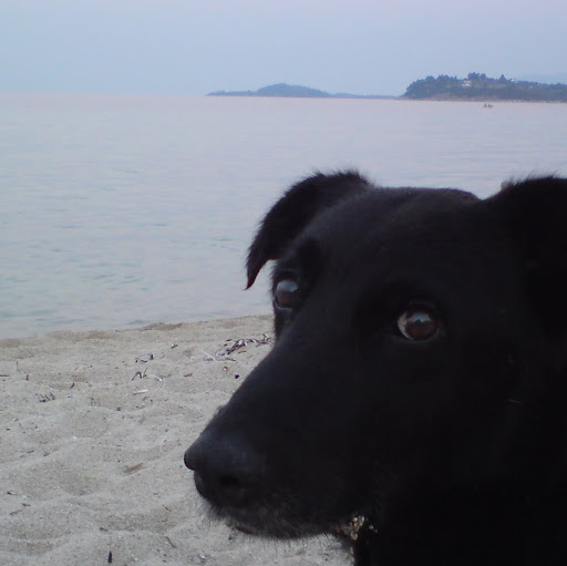 Barbara “Varvara” K.