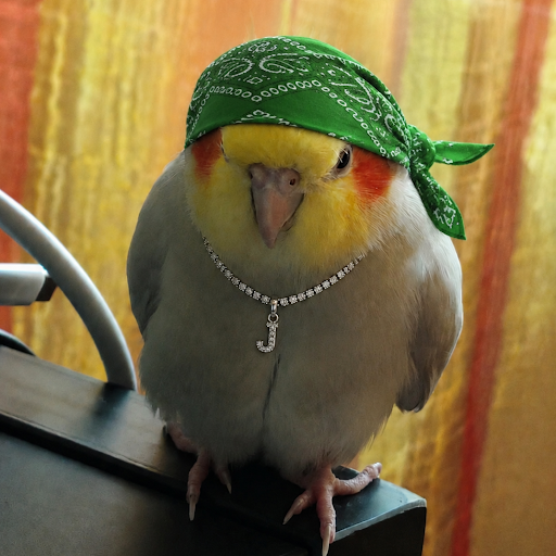 hajiii