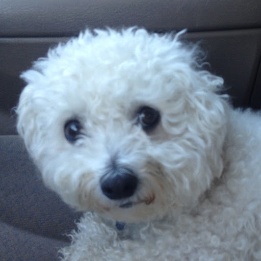 Andree “Antonina” Dayley