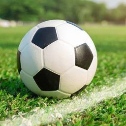 Sukhwinder singh sandhu