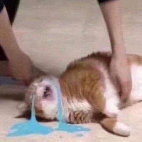 Christine Permatasari