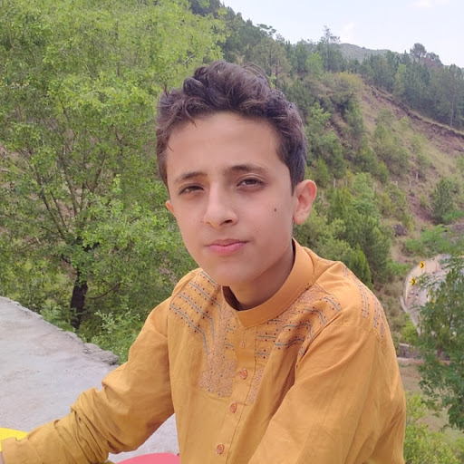 Rashid Mehmood Abbasi