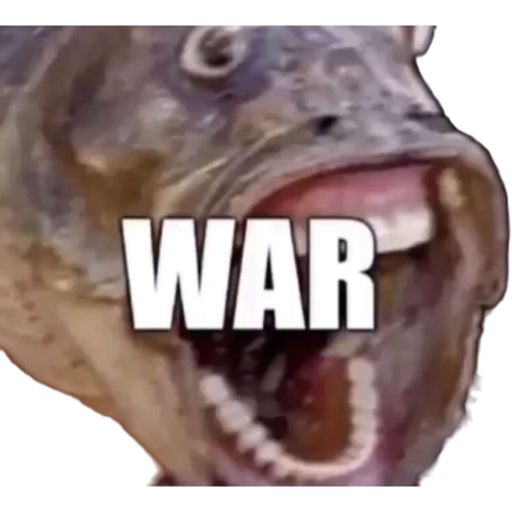 Ayden “The Boombox Man” Serrine