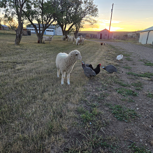 Noreen Martinez (Seaelf)