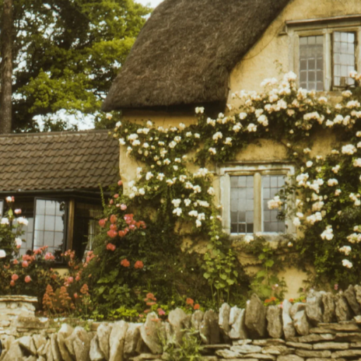 Paisley Jenkins (4STR0_AnD_D4ND1!!)