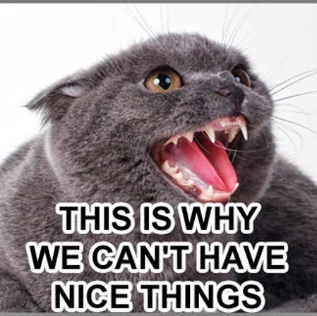 Jose Antonio Terroba