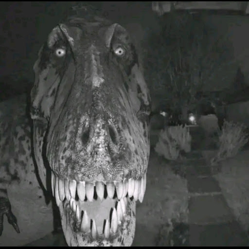 Carmel Daphne Alobin