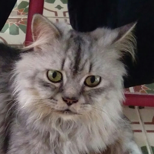 คงจะใช่ ละมั้ง