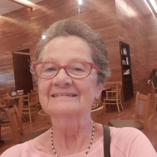 ana luiza j loureiro