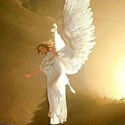 Robson Pereira De Araujo