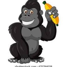 vishwanath krishnaswamy