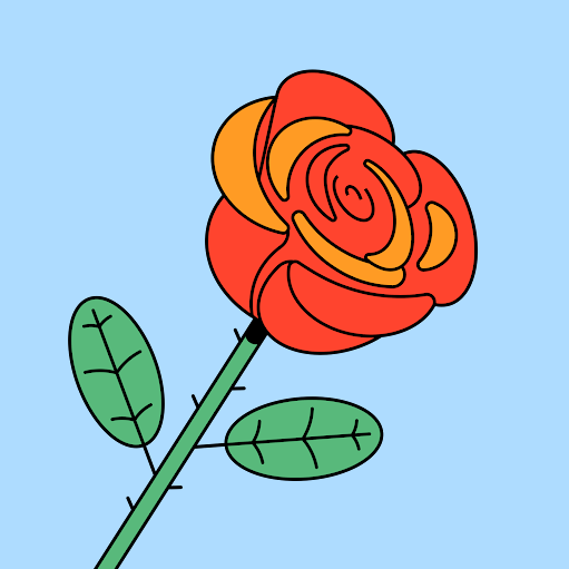 6 Afsheen Parween 2 B