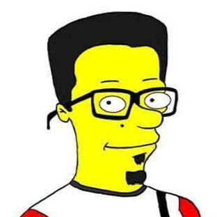 Junior Ribeiro Guitar