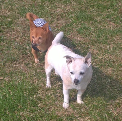 BabyGirl & Little Man Billings