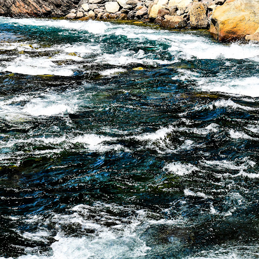 Jenny Miner Photography