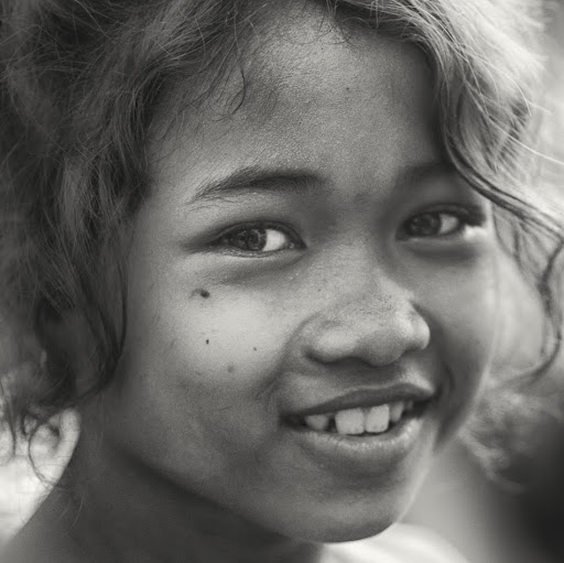 about the book (about the book)