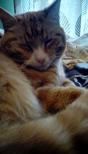 Fleur “Sonar” Puttock