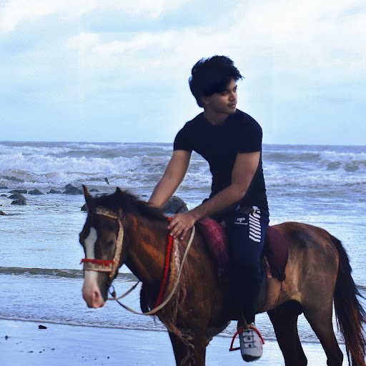 Wasibul Haque Maheem