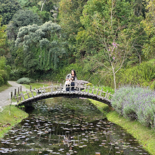Carol de Oliveira Colorada