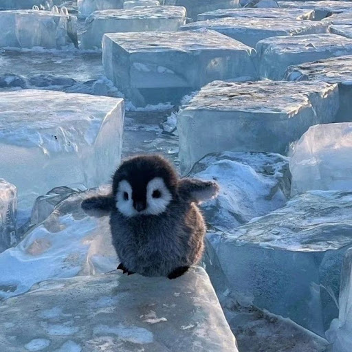 KNG :v bỏ chứ gaming rùi nó dài kinh khủng