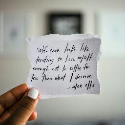 Ling The cat who loves cats