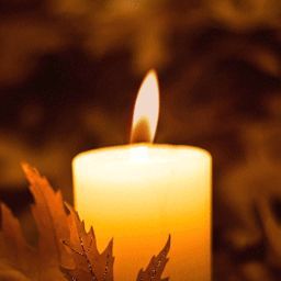 Islam Attia (‫د. إسلام المازني‬‎)