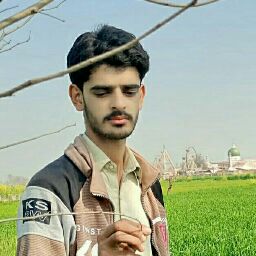 Muhammad ehsan Bhatti