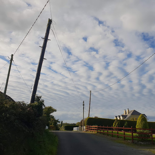 Armandas Stasiunaitis