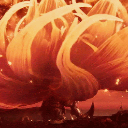 Carlos Eduardo Camargo